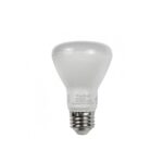 led-br20dim-big