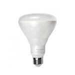 led-br30dim-big